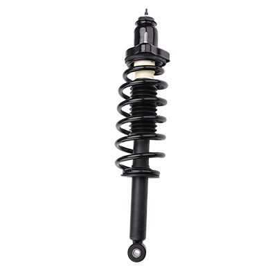 Suspension Strut and Coil Spring Assembly